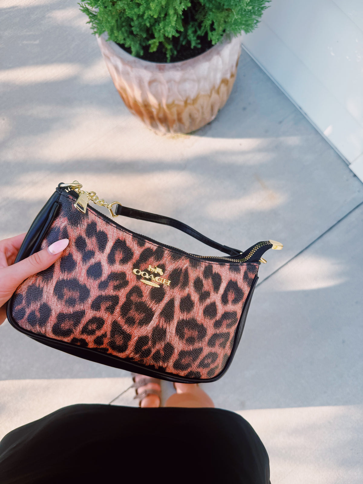 Wild About You Purse