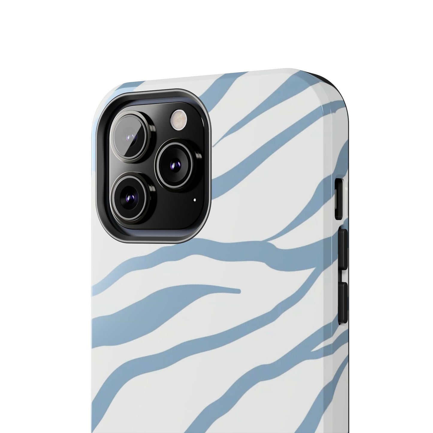 BLUE ZEBRA CASE
