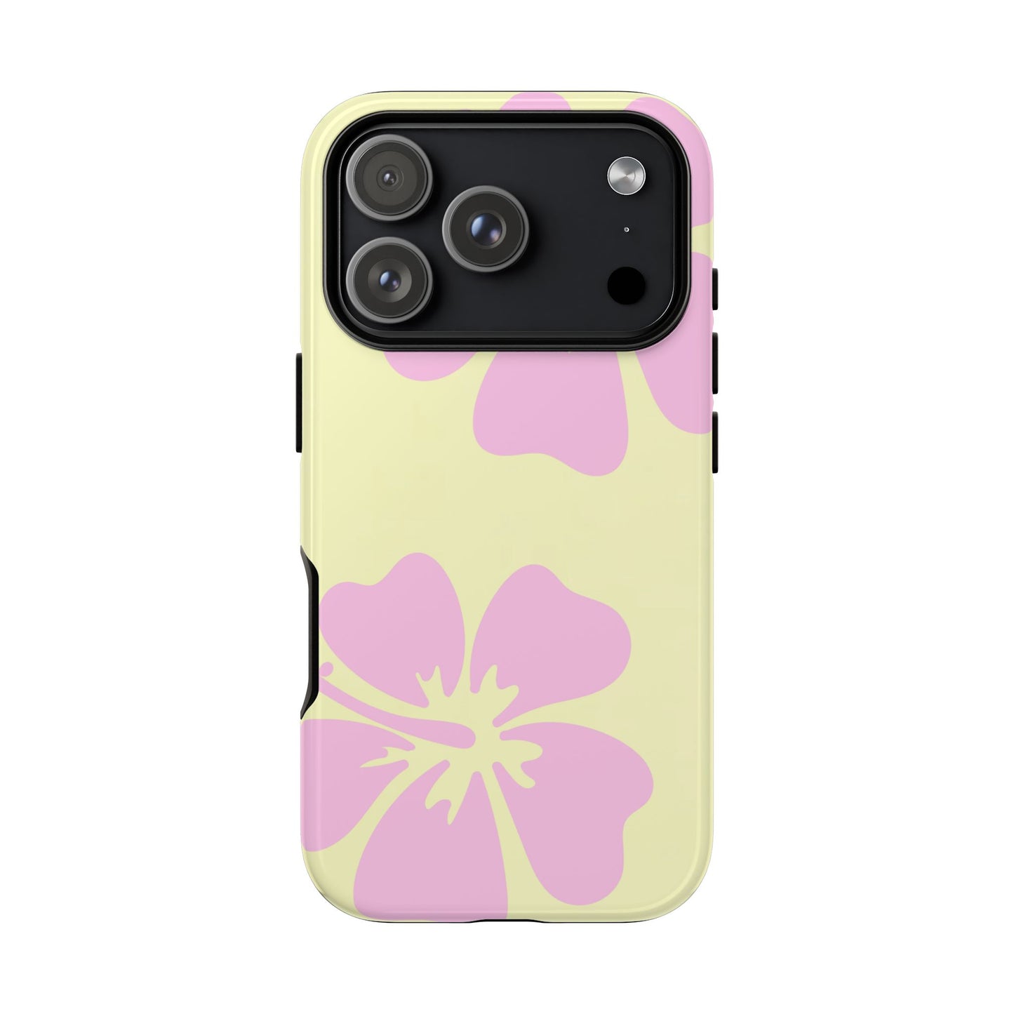 BAYSIDE CASE