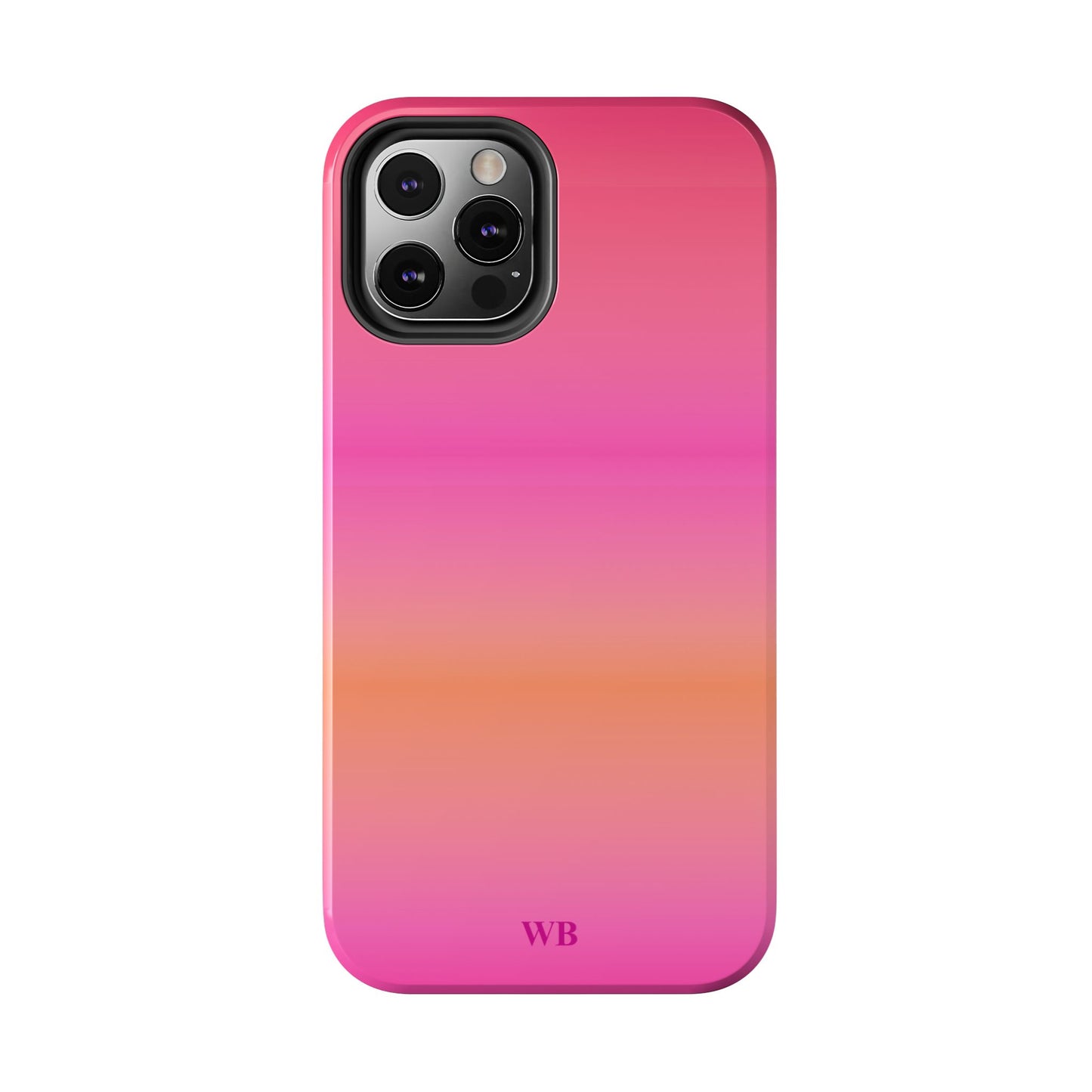 Airbrush Case