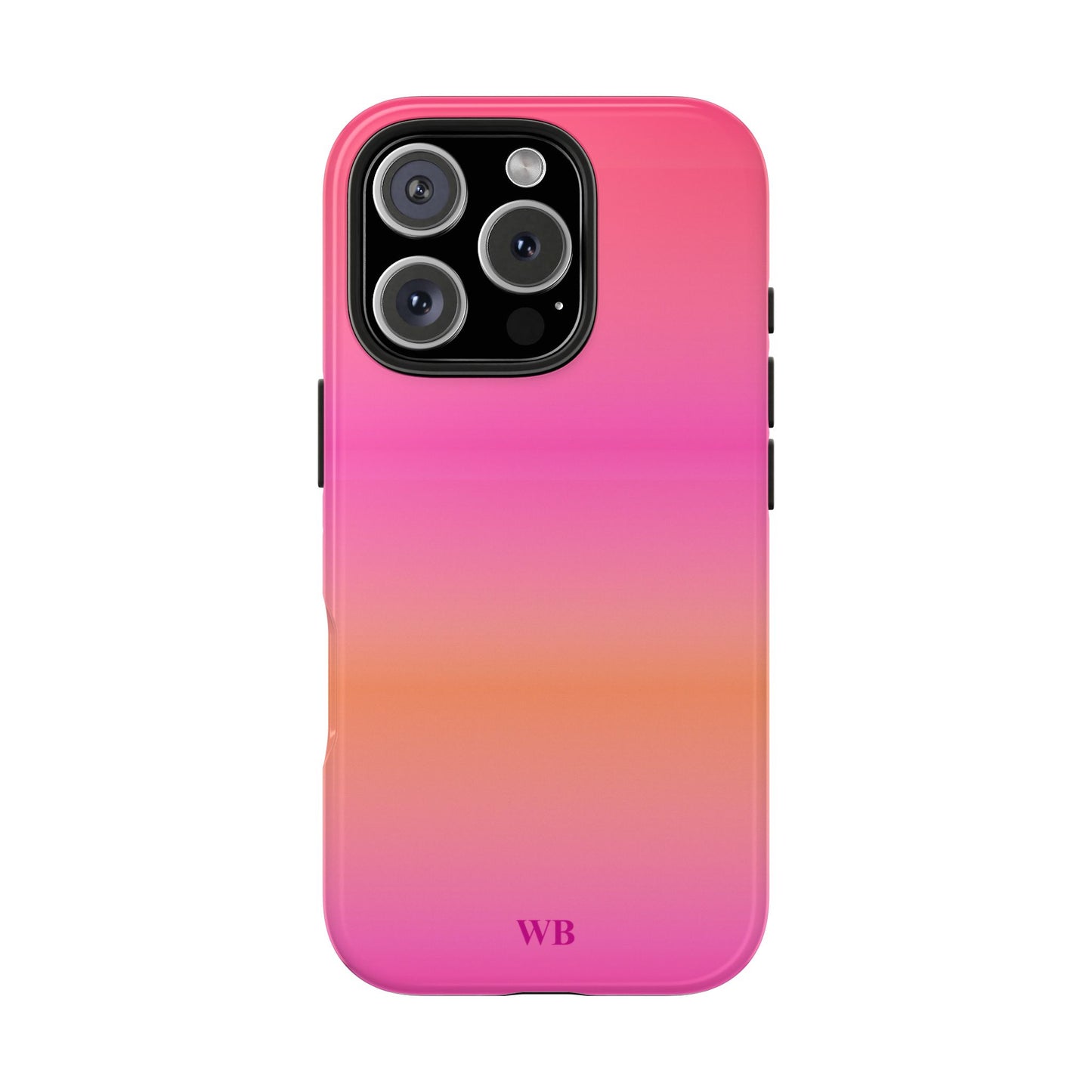 Airbrush Case