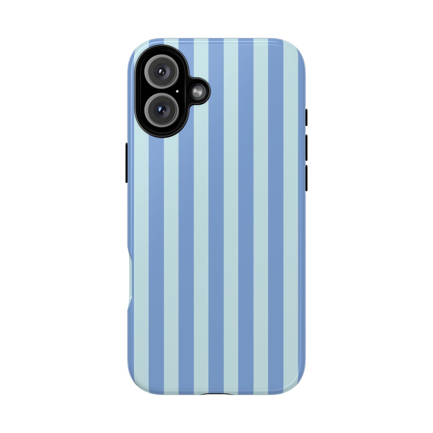 Blue Stripes Case