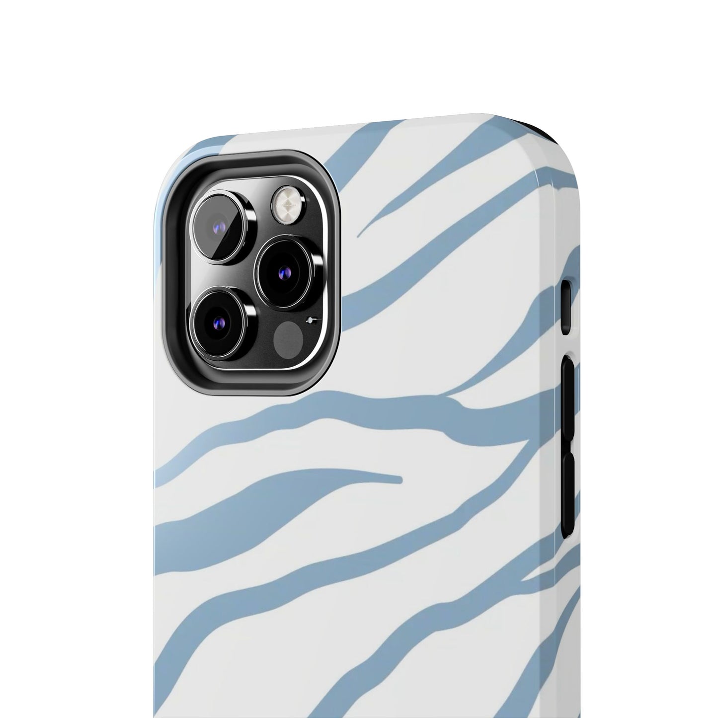 BLUE ZEBRA CASE