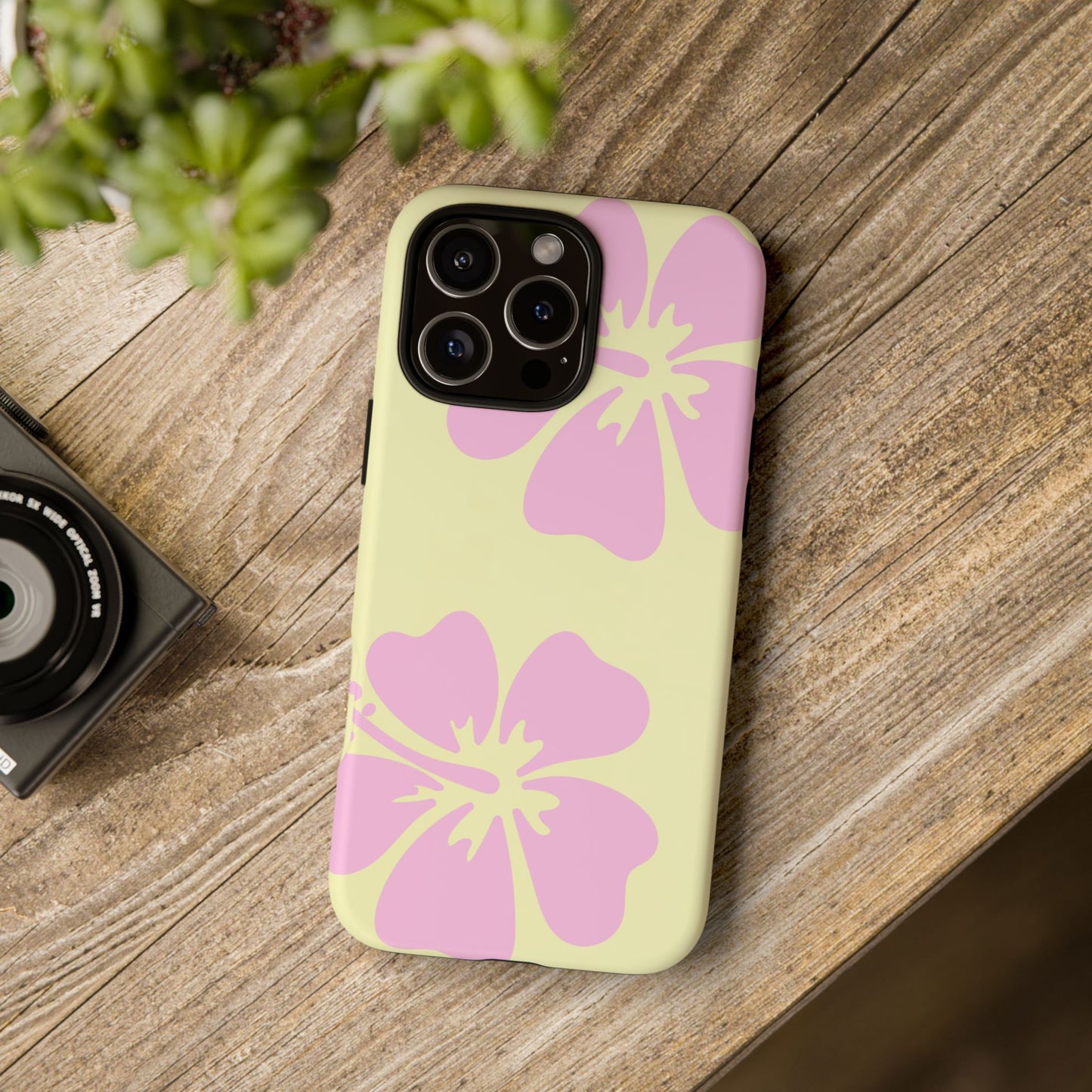 BAYSIDE CASE