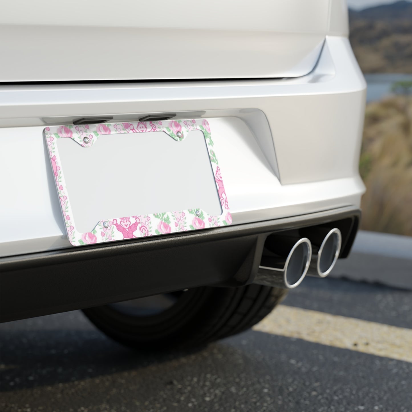 LSF Metal License Plate Frame