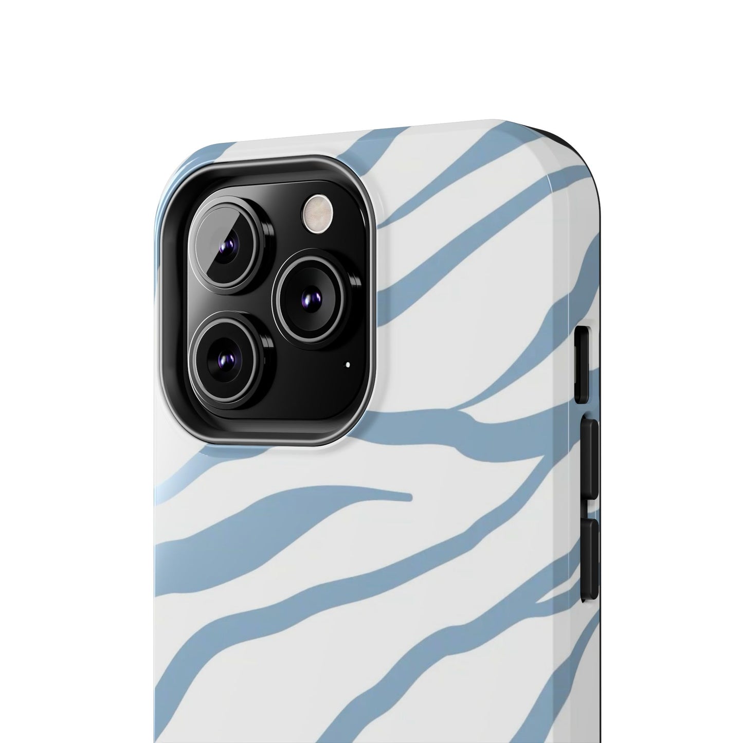 BLUE ZEBRA CASE