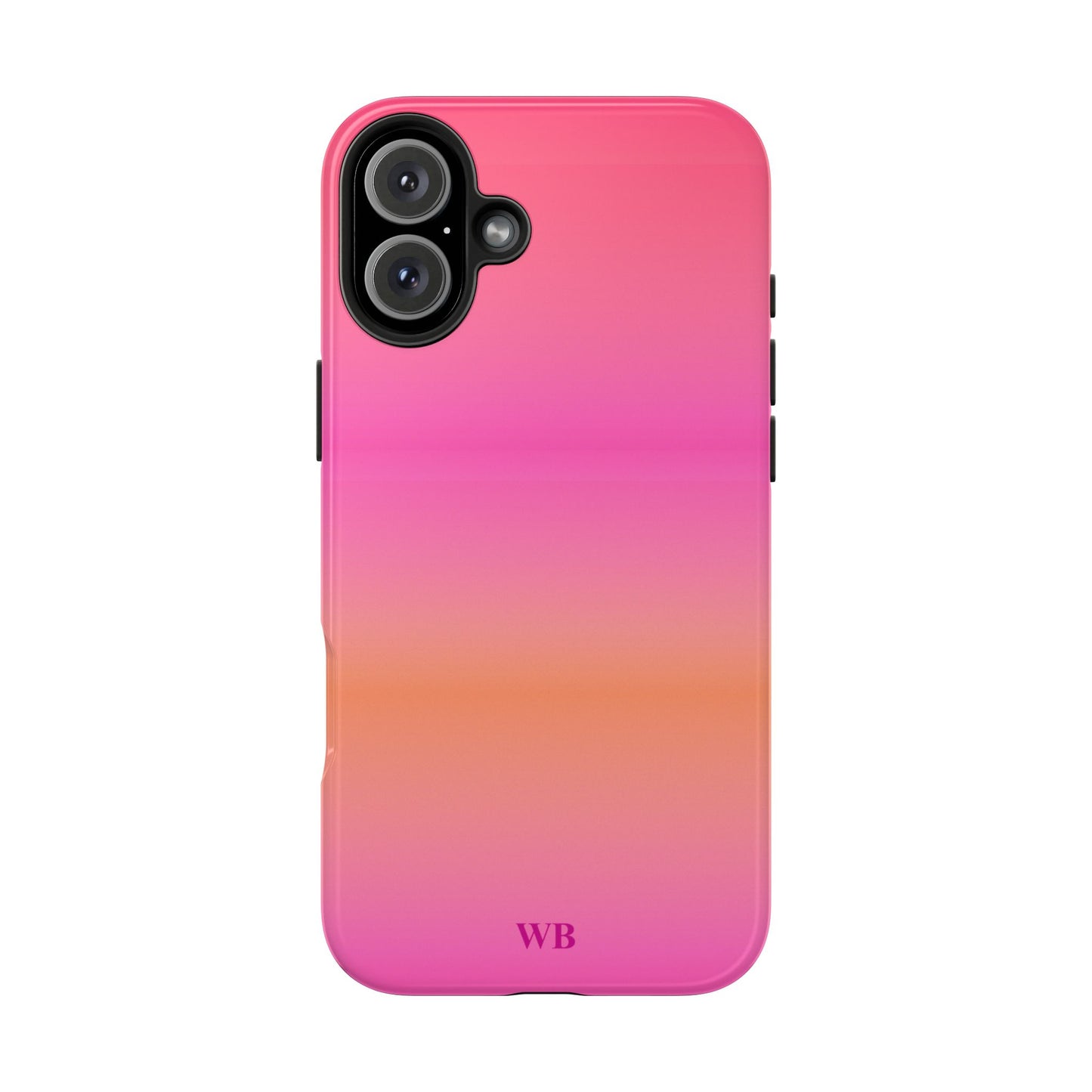 Airbrush Case