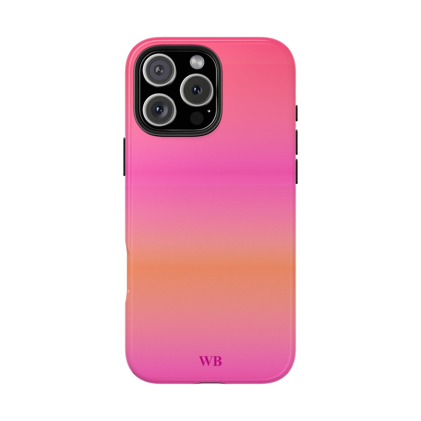 Airbrush Case