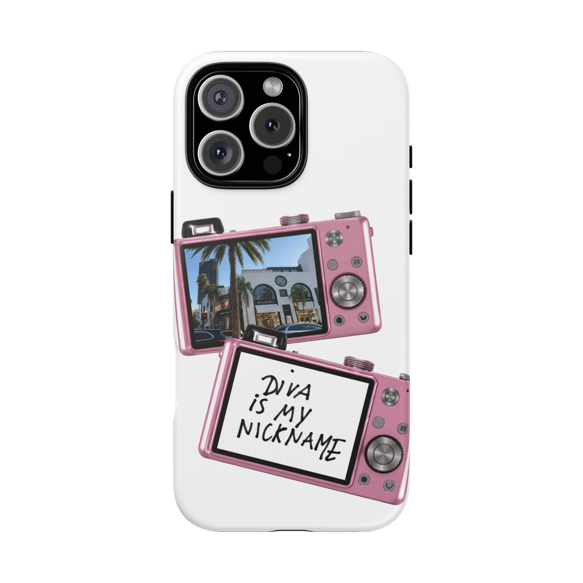 BEV HILLS CASE