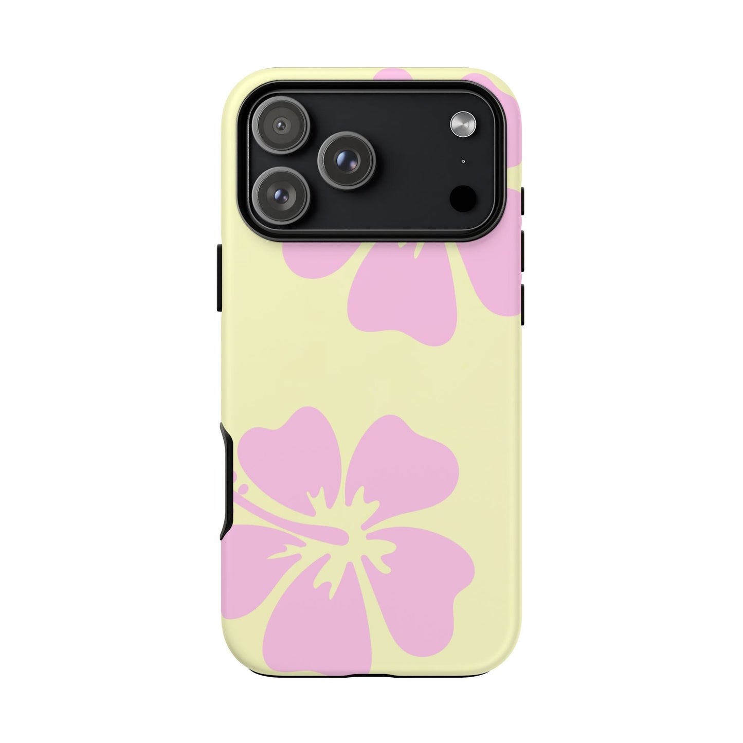 BAYSIDE CASE