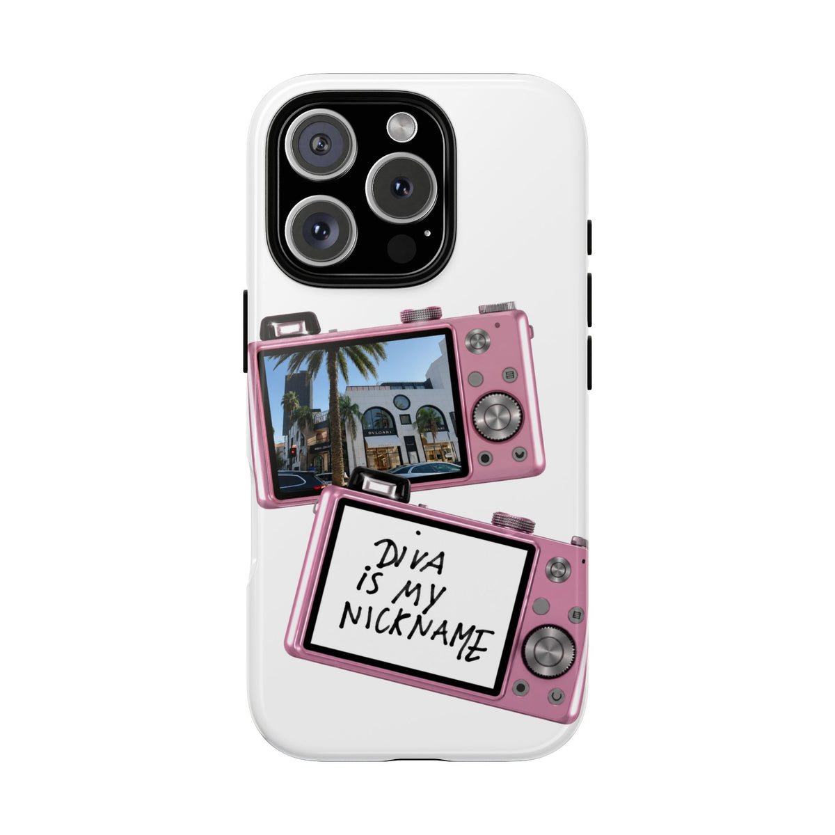 BEV HILLS CASE