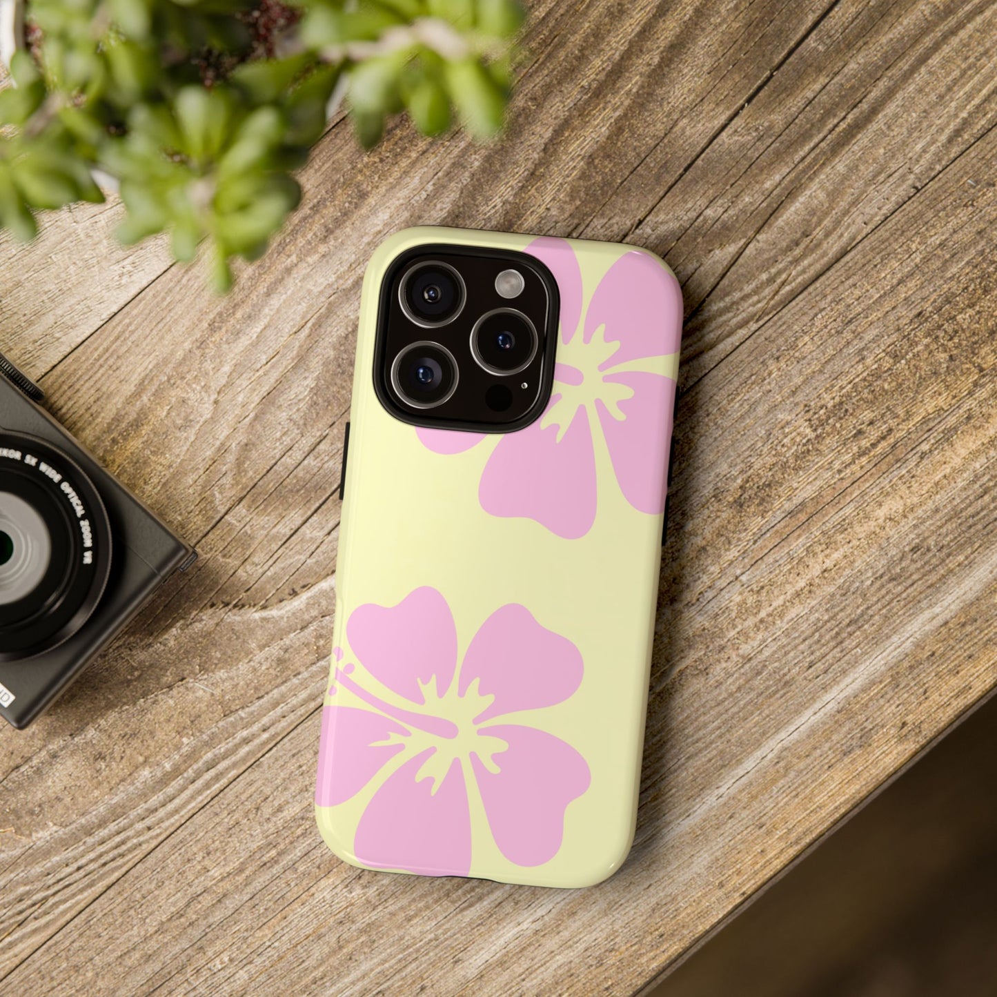 BAYSIDE CASE