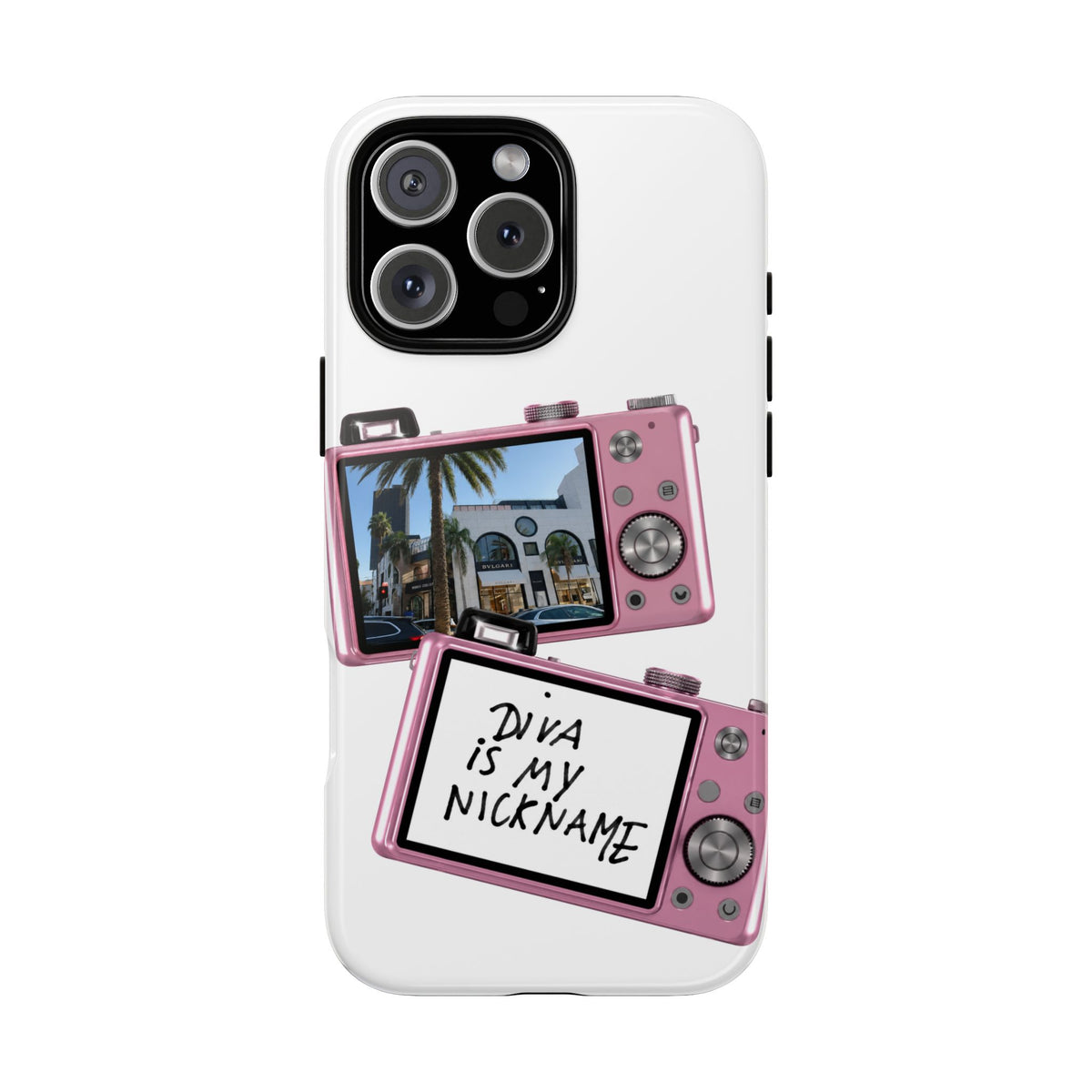 BEV HILLS CASE