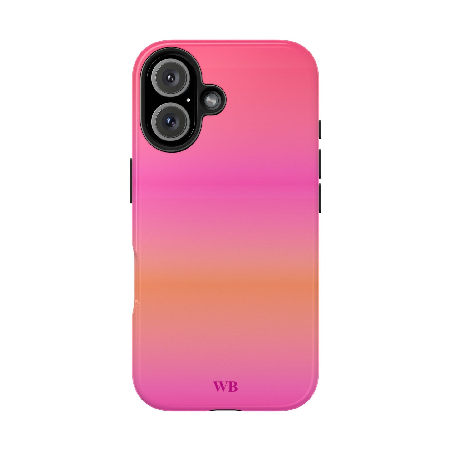 Airbrush Case